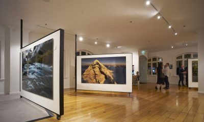 The Luxury Network New Zealand Welcomes Romer Gallery